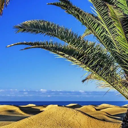 Casa vacanze Confital By Canariasgetaway